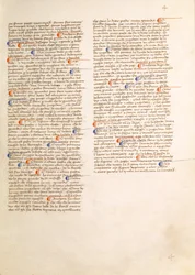 Fiore dei Liberi